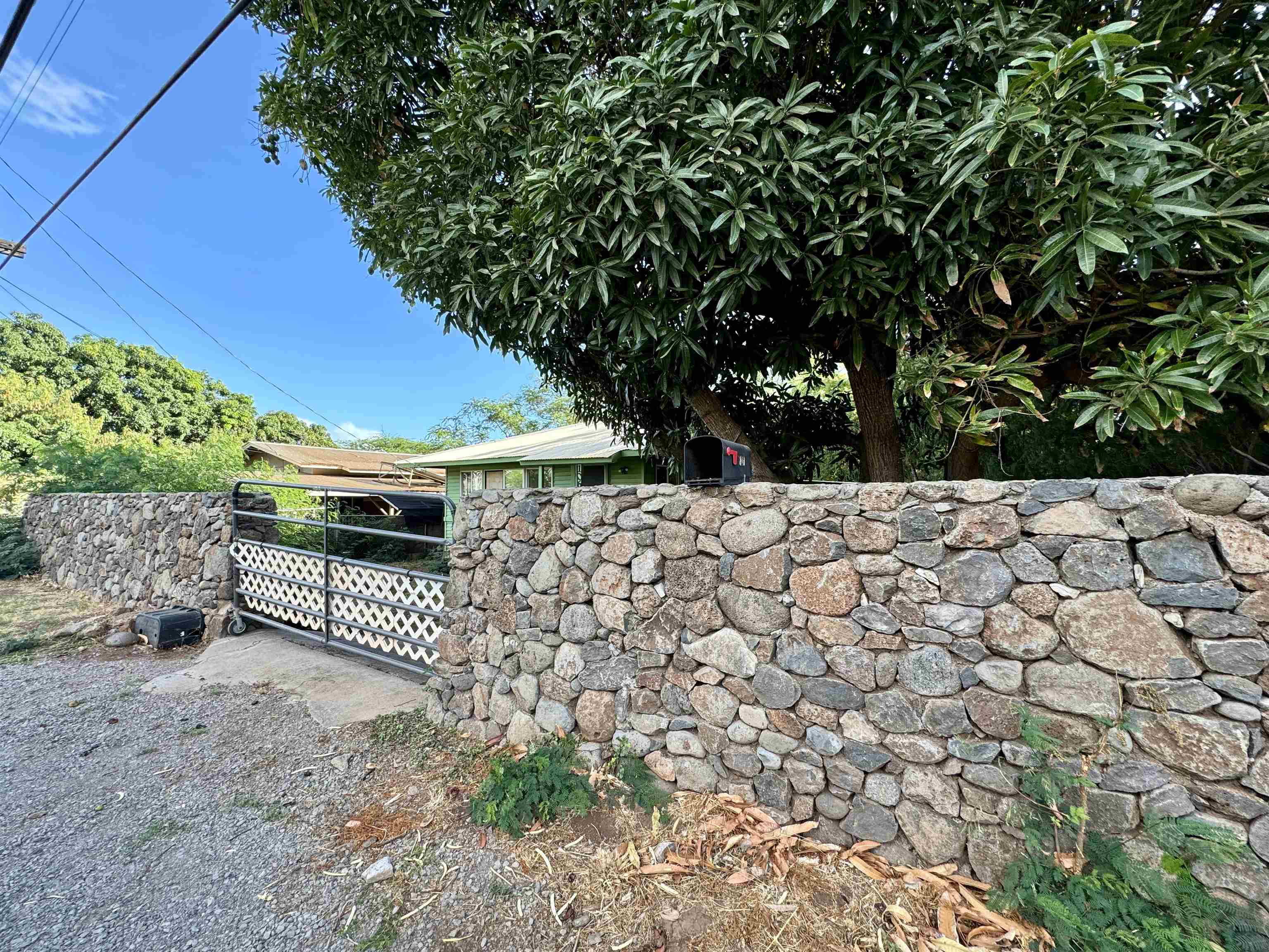 a view of a yard with plants and wooden fence