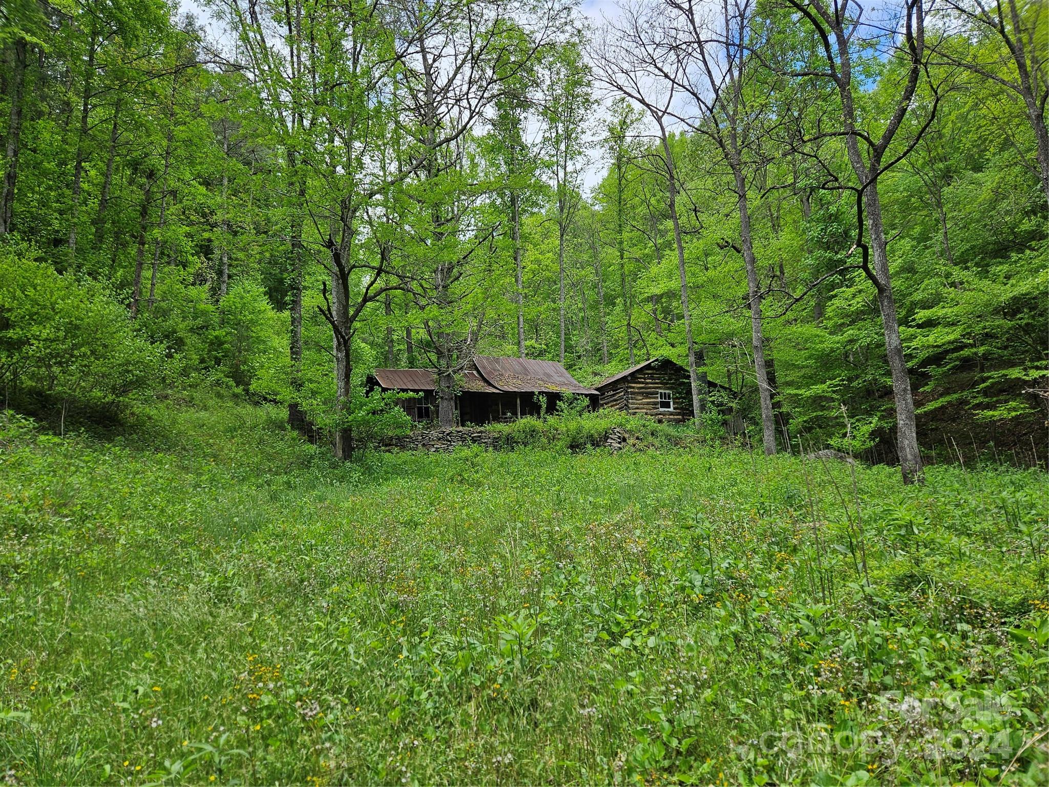 a view of outdoor space and yard