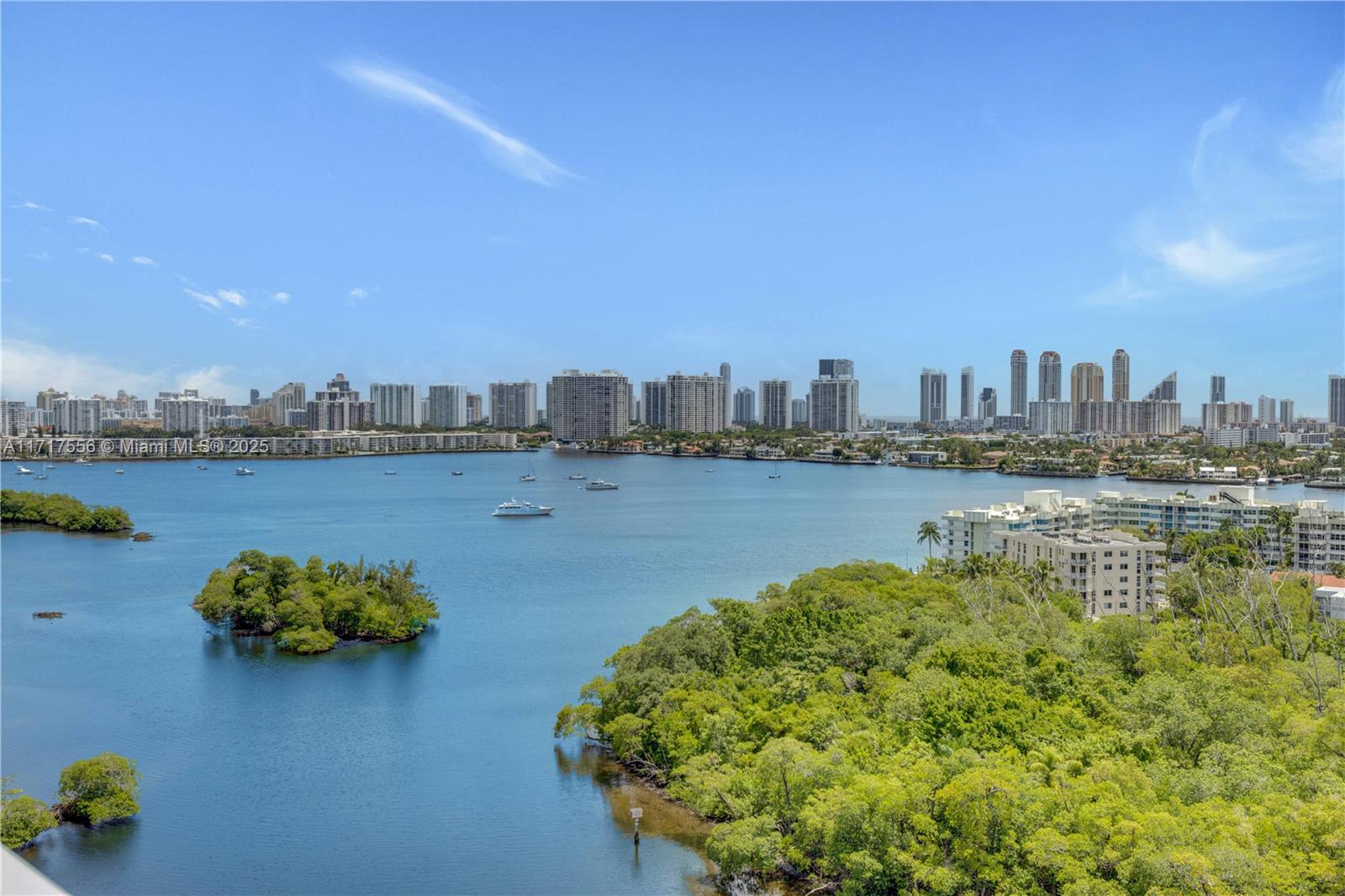 a view of a lake with a city