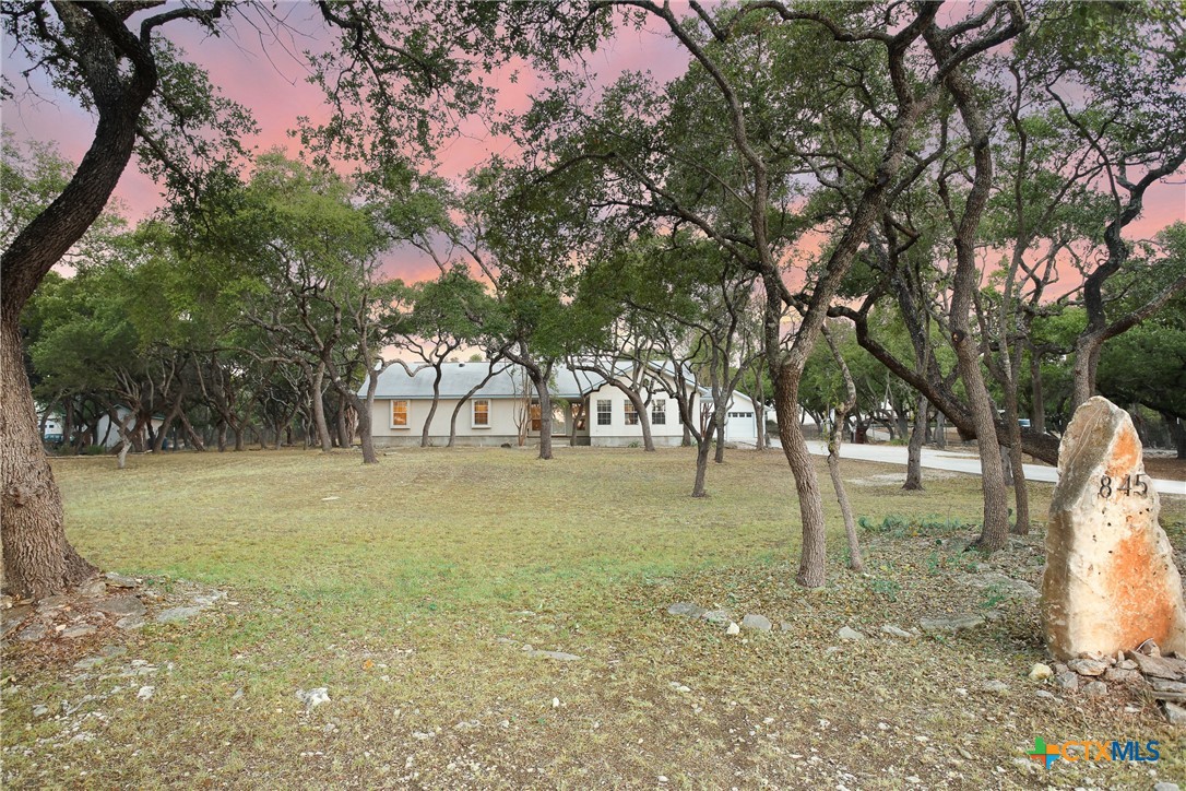 a view of yard with trees