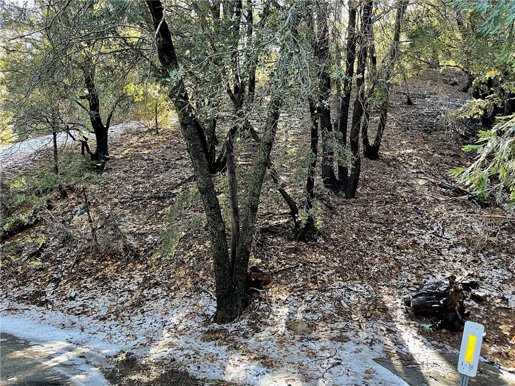 a view of a yard with a tree