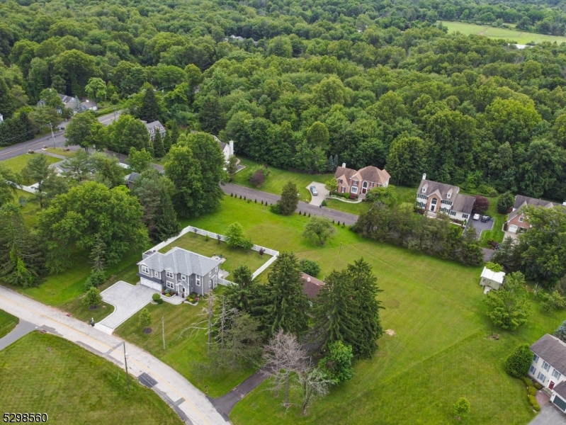 an aerial view of residential houses with outdoor space and trees