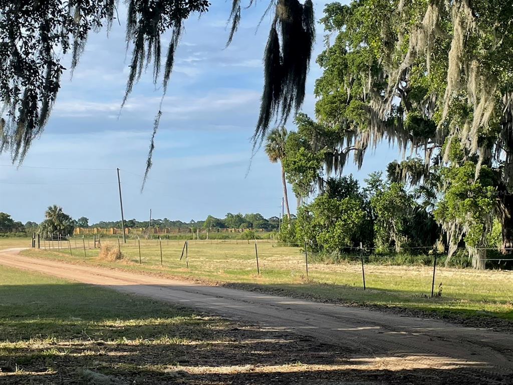 a view of a yard with an trees