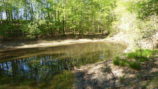 $29,500 | Tract 9 Dusty Lane