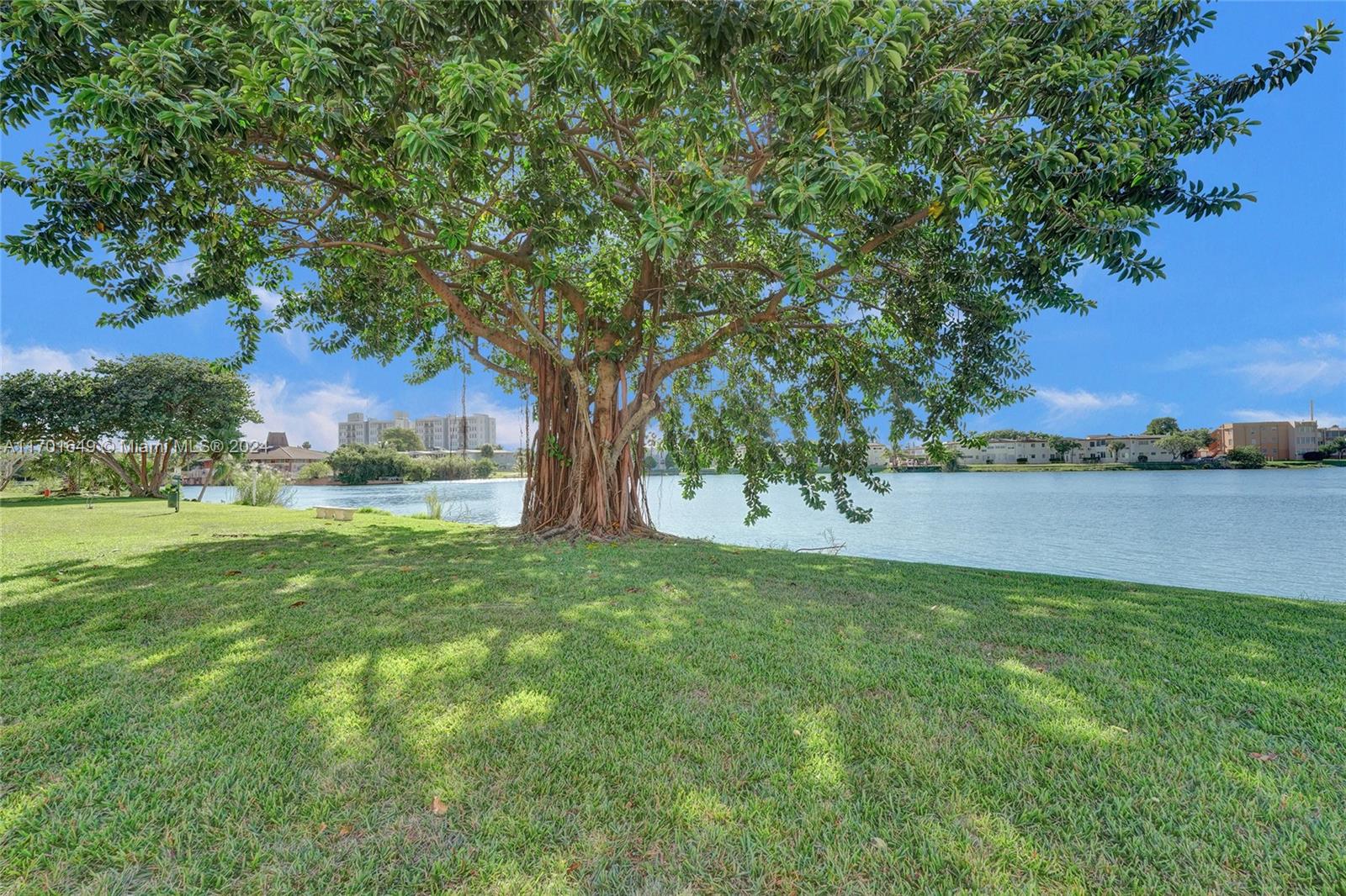 a view of a garden with a tree