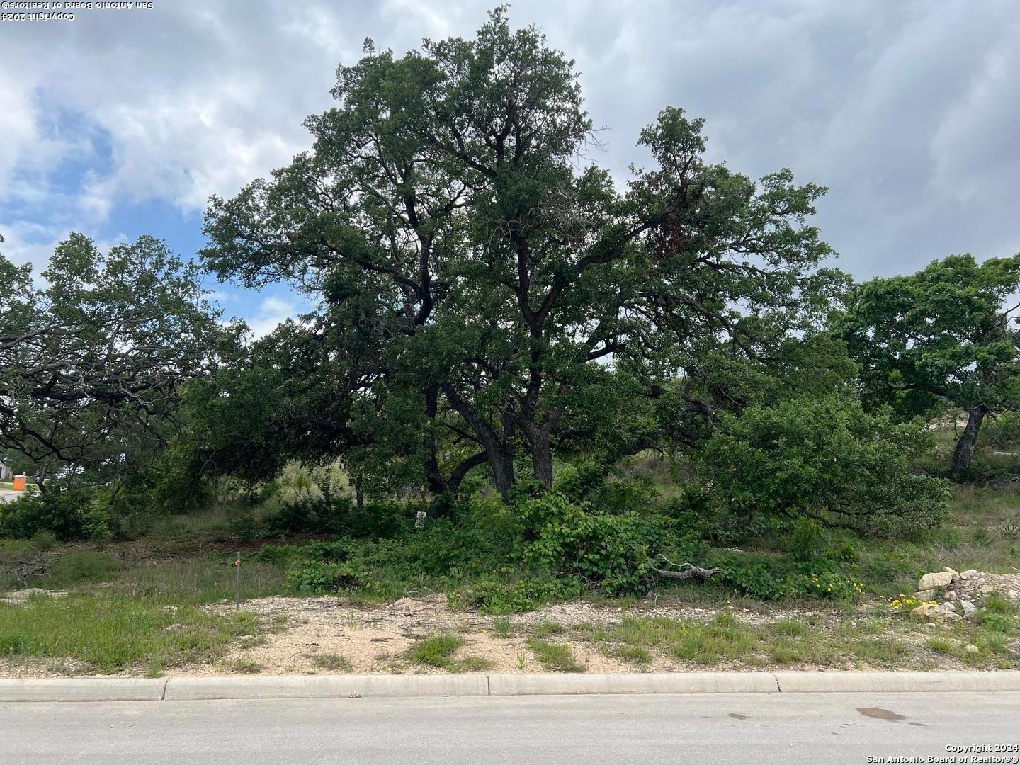 a view of a yard with a tree