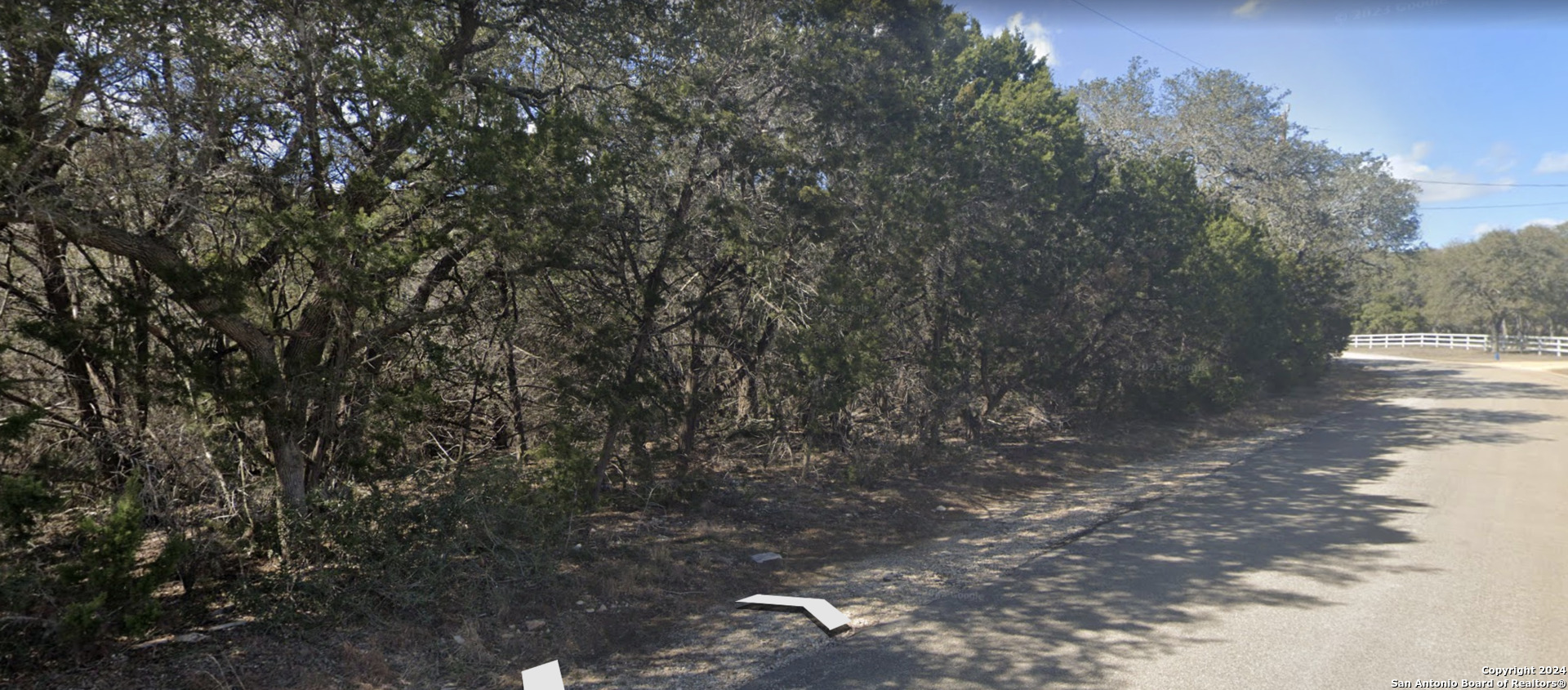 a view of a yard with a tree