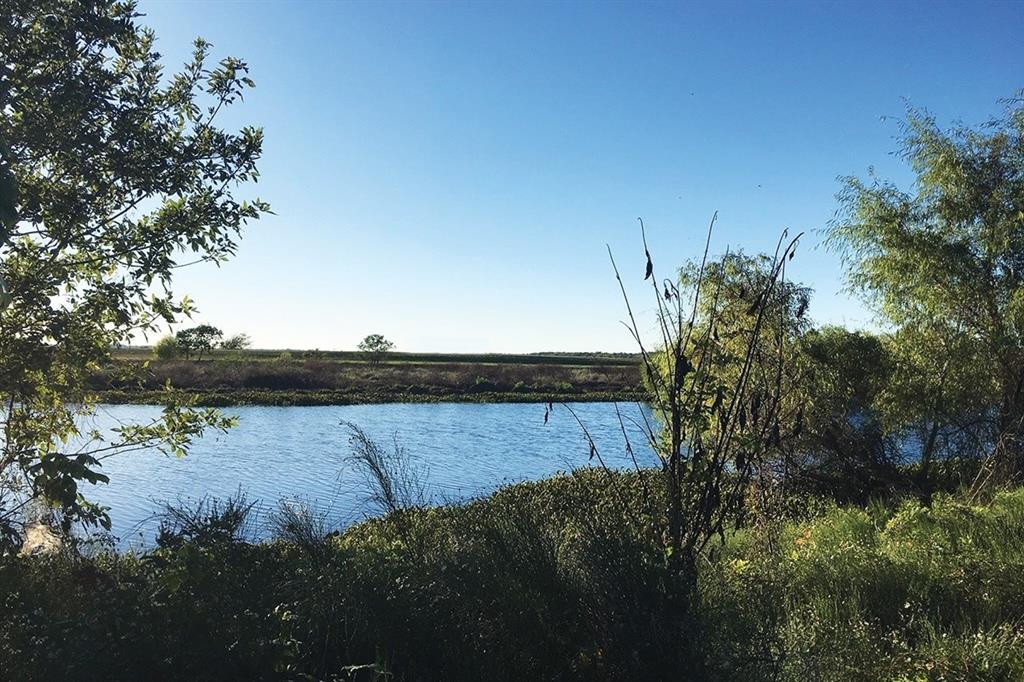 a view of a lake in middle of forest