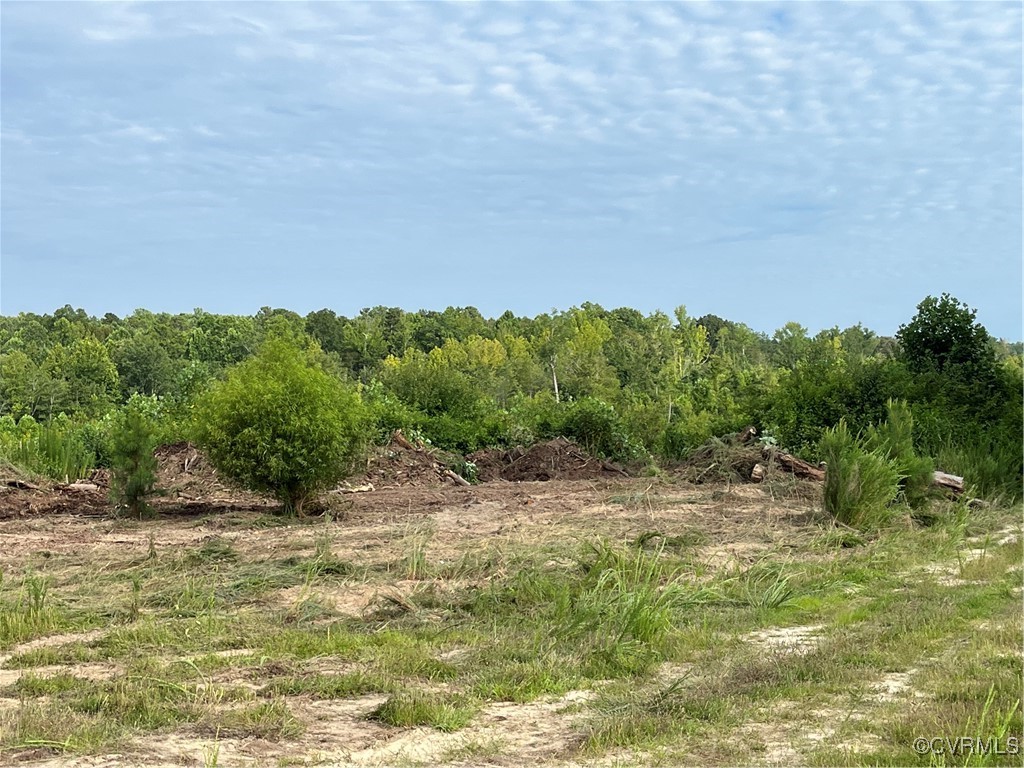 View of landscape