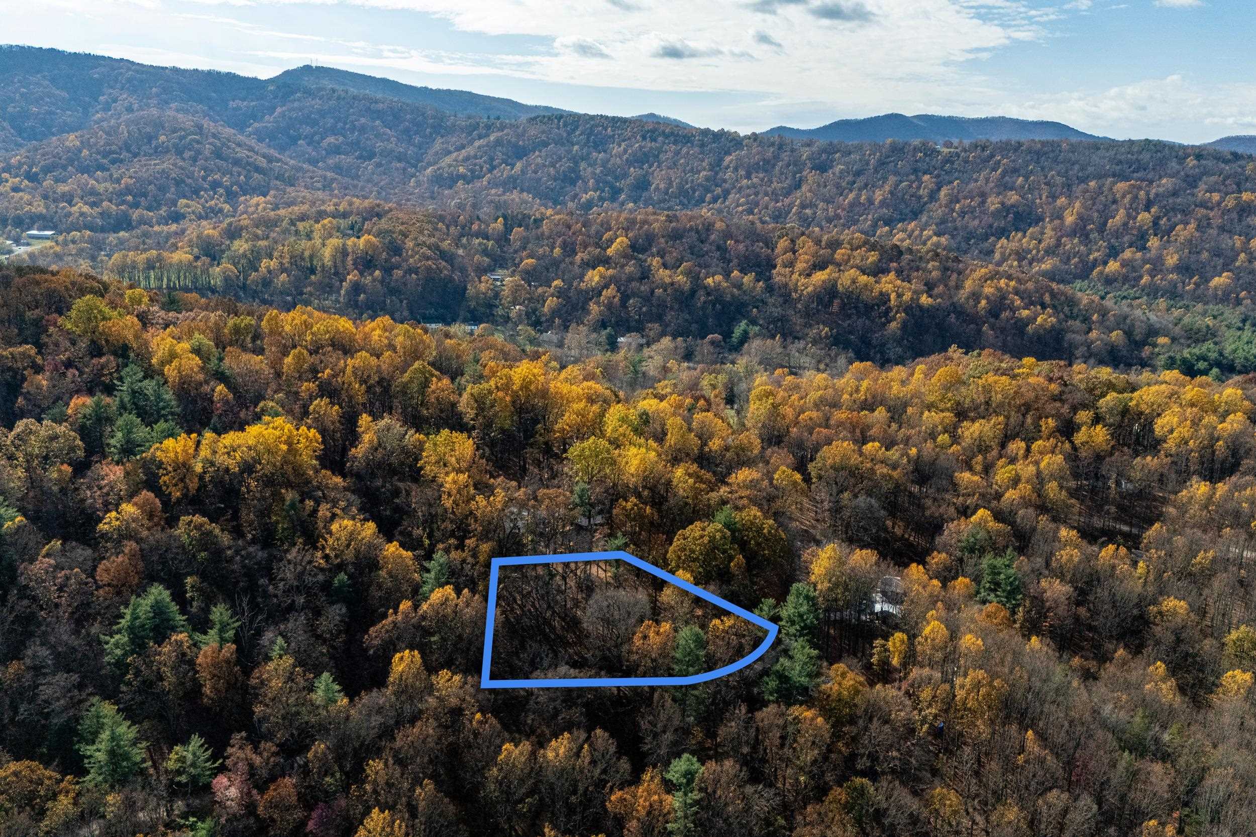 an aerial view of mountain and trees