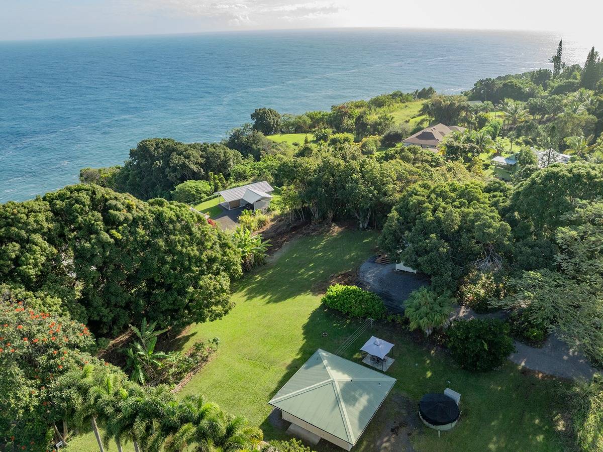 a view of a garden with an ocean