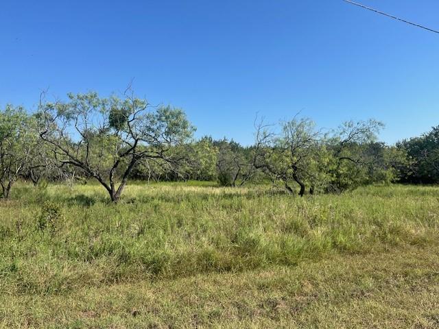 a view of a green field with lots of bushes