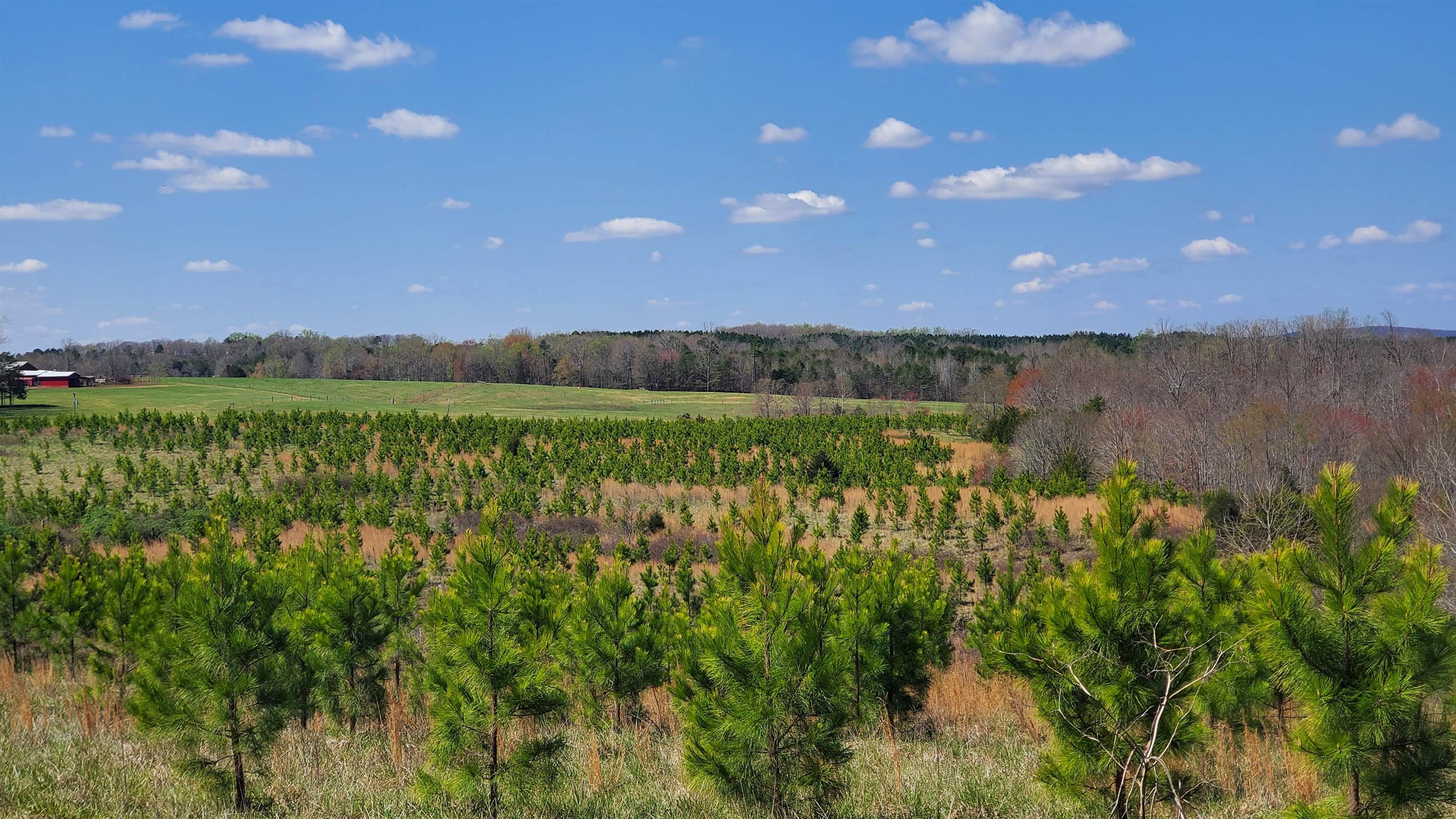 a view of a green field with lots of bushes