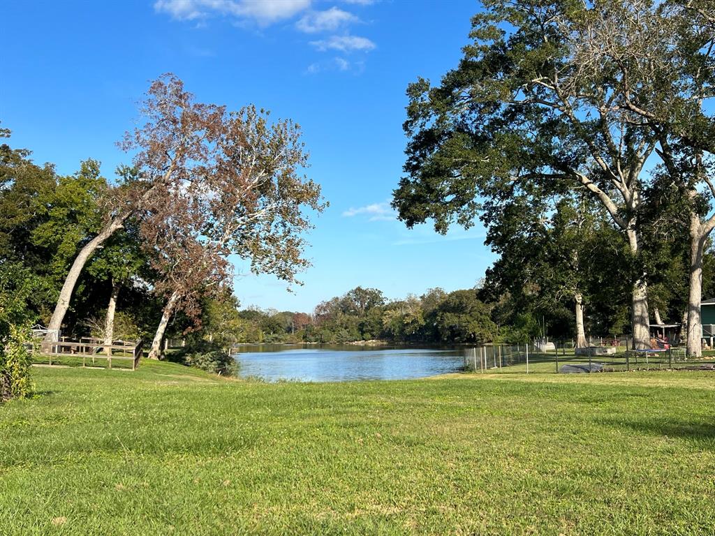 a view of a park with large trees