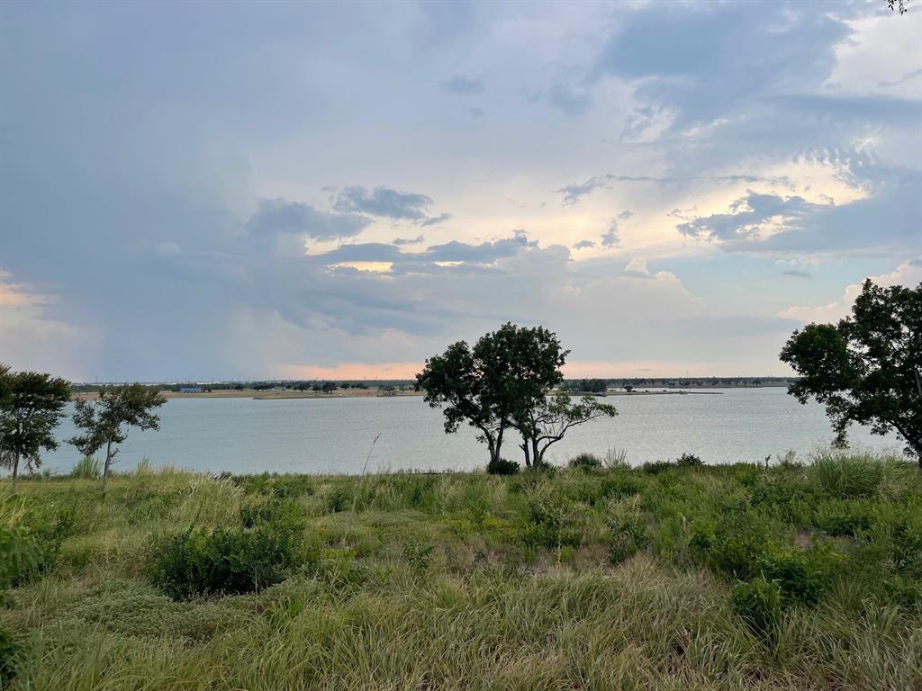 a view of a lake from a yard