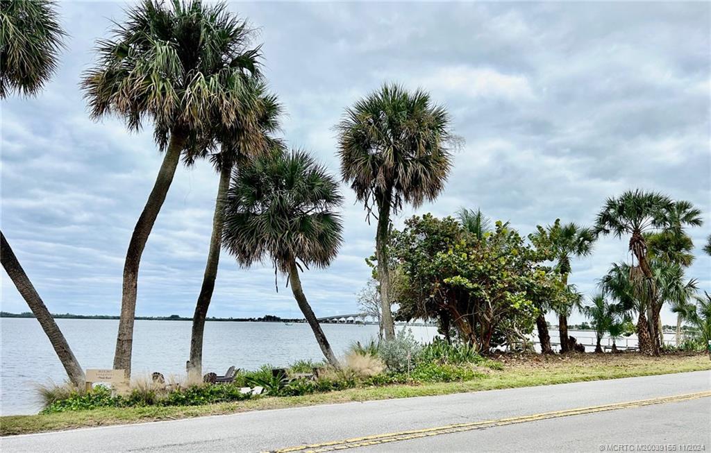 a palm tree sitting in front of a yard with palm trees