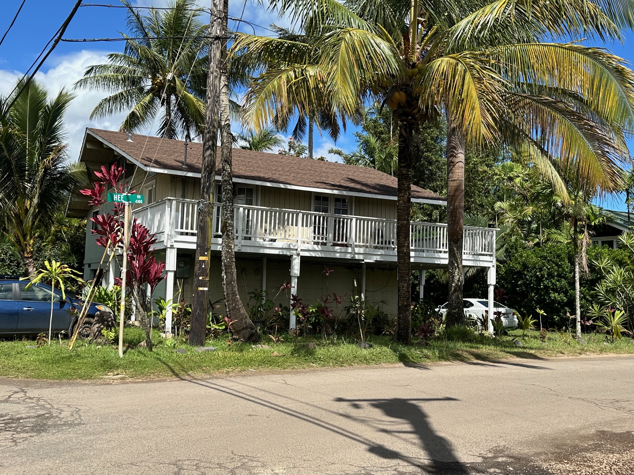 a view of street and trees on a sidewalk