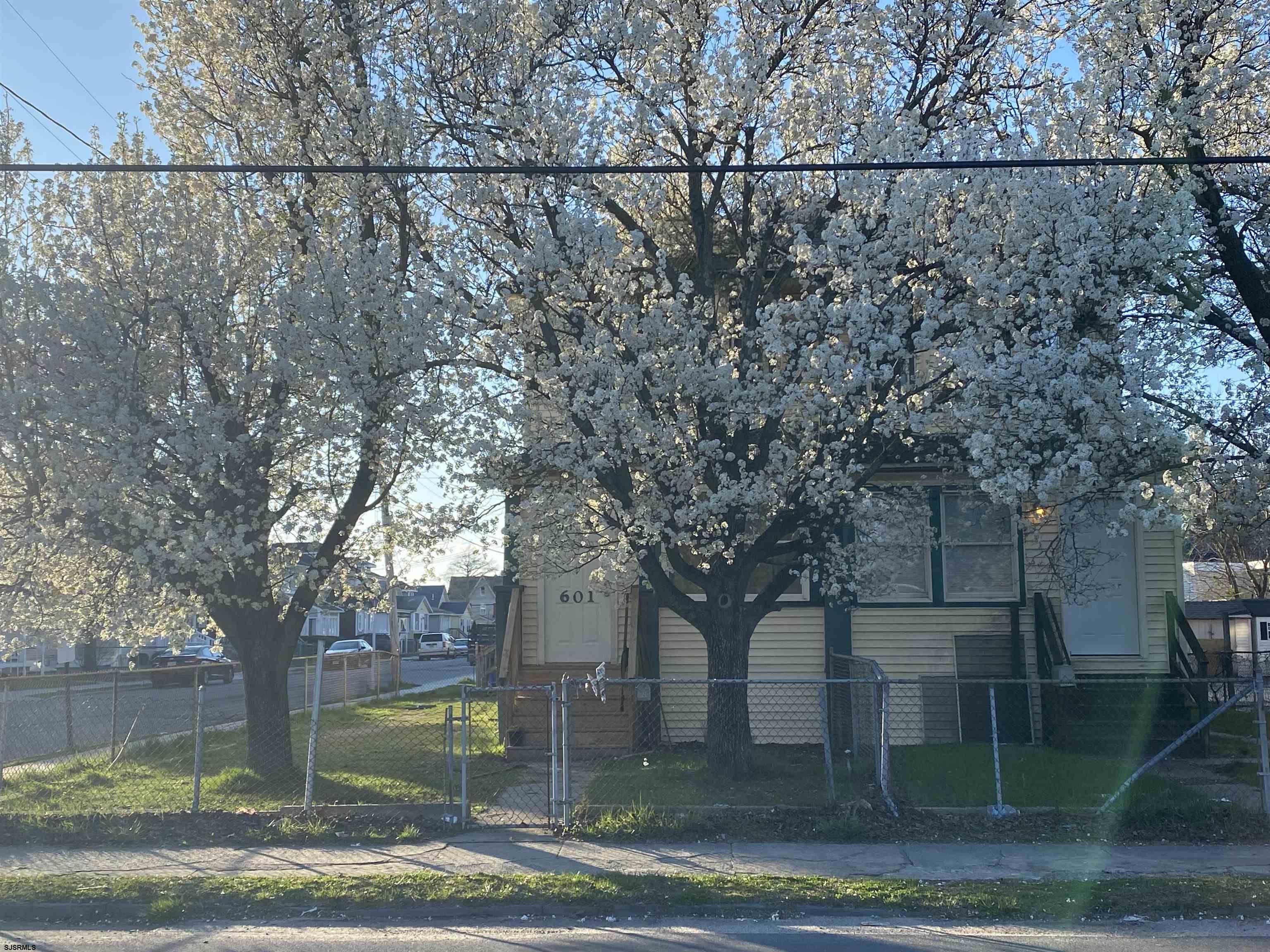 a view of a yard with a tree