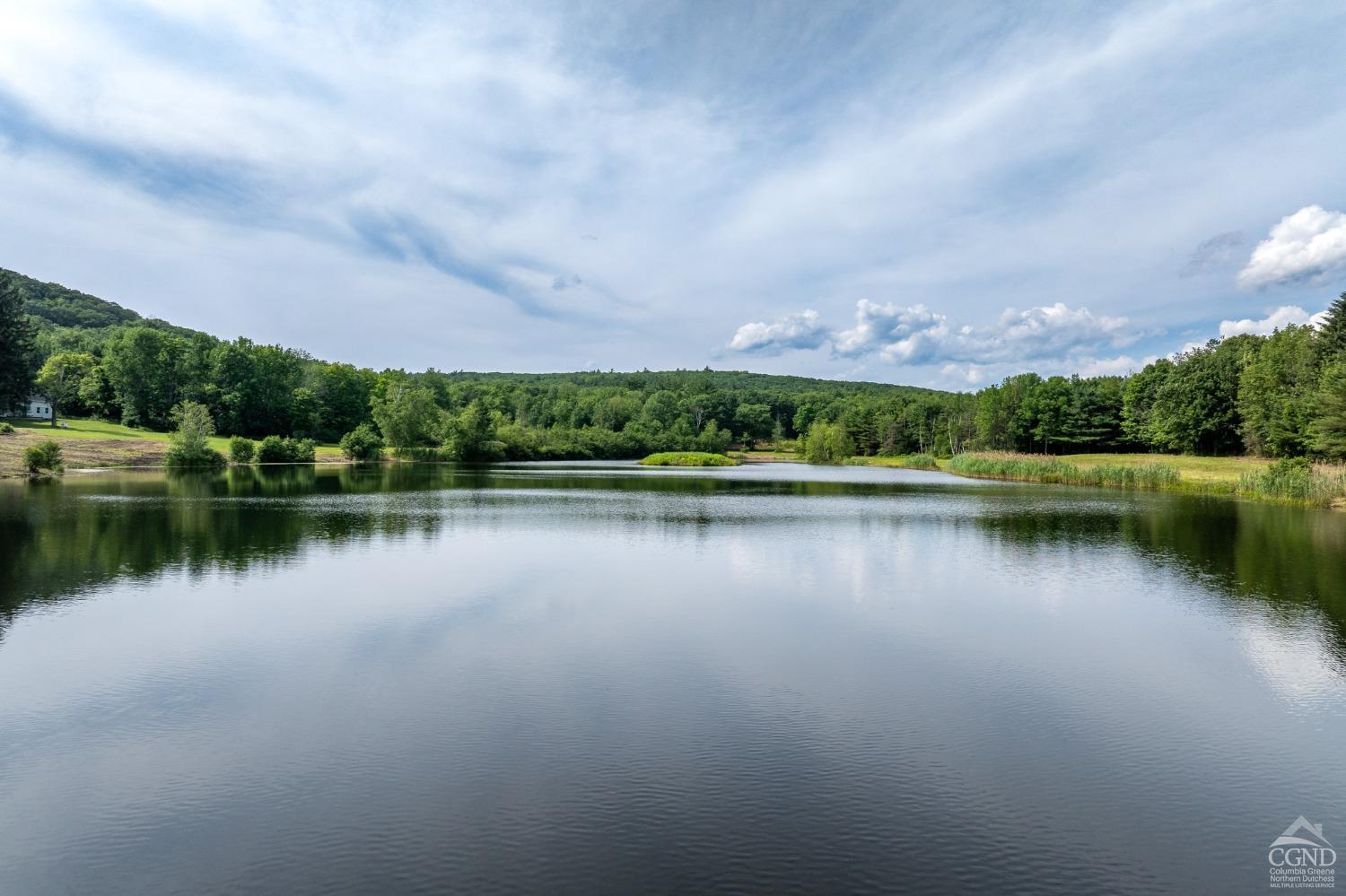 a view of a lake with houses in the background