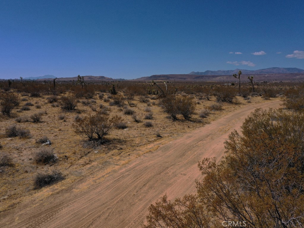 a view of a dry yard with mountains in the background