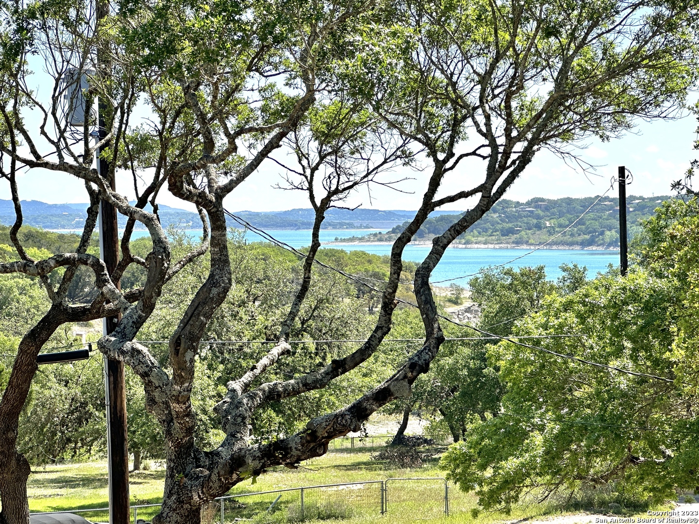 a view of a yard with an tree and plants