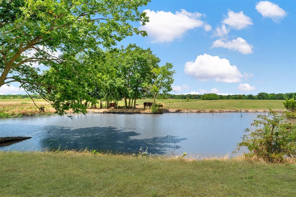 a view of a lake