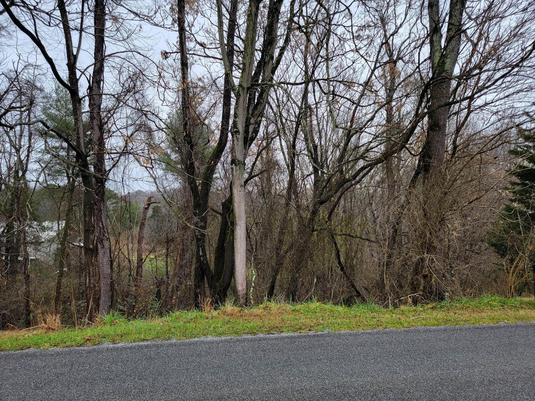 Green Level Rd - Paved