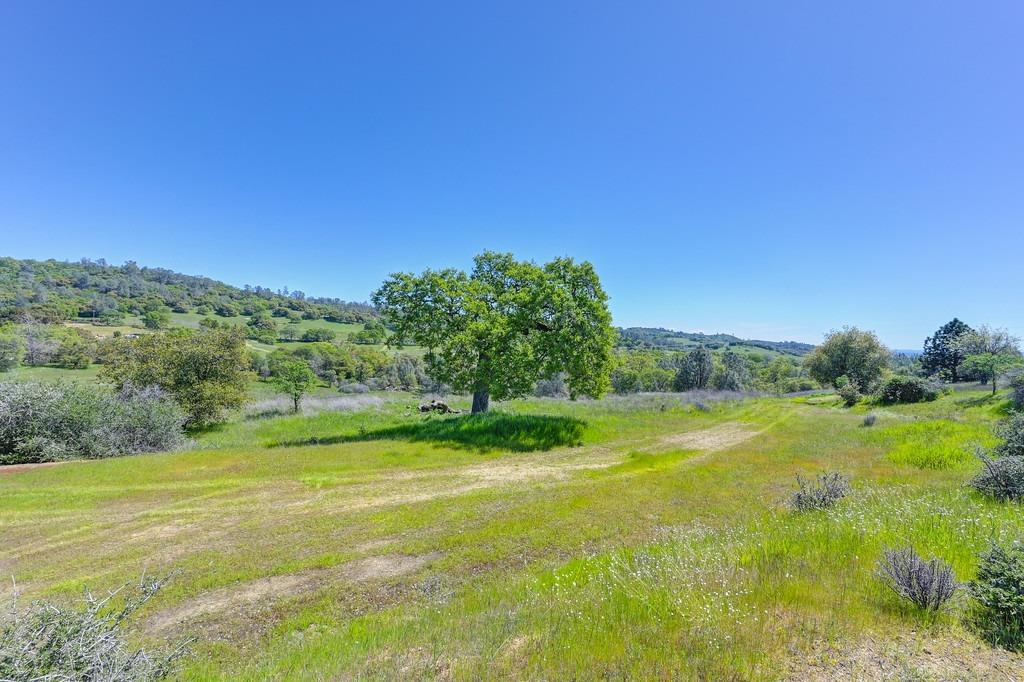 a view of a big yard with an trees