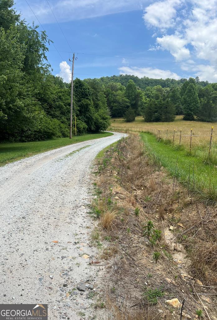 a view of a field with a yard