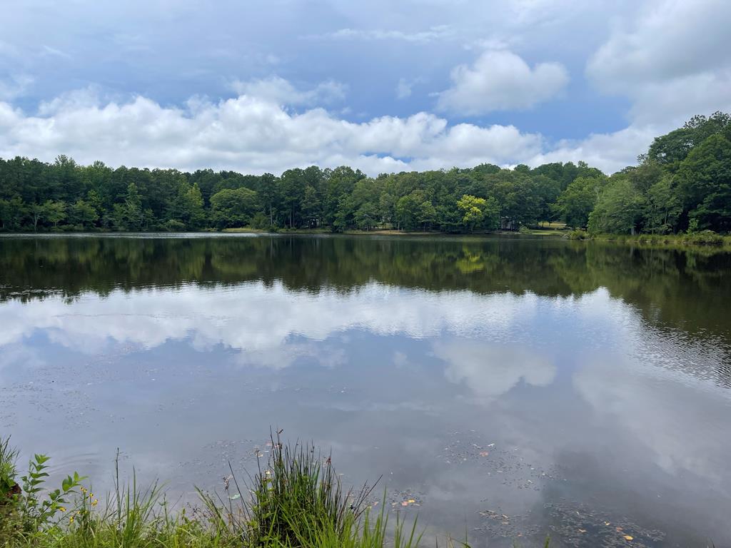 a view of a lake