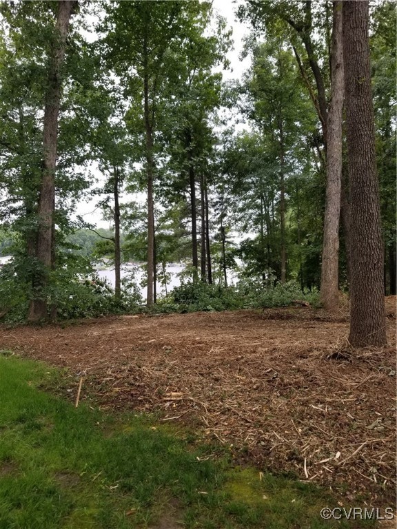 a view of a field with trees in the background