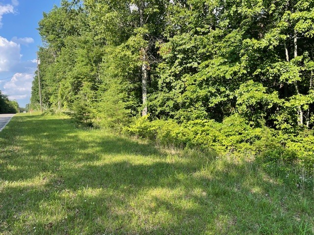 a view of a yard with a tree