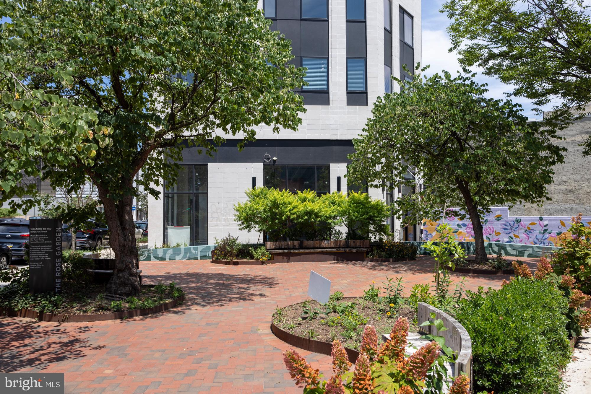 a view of a garden with plants