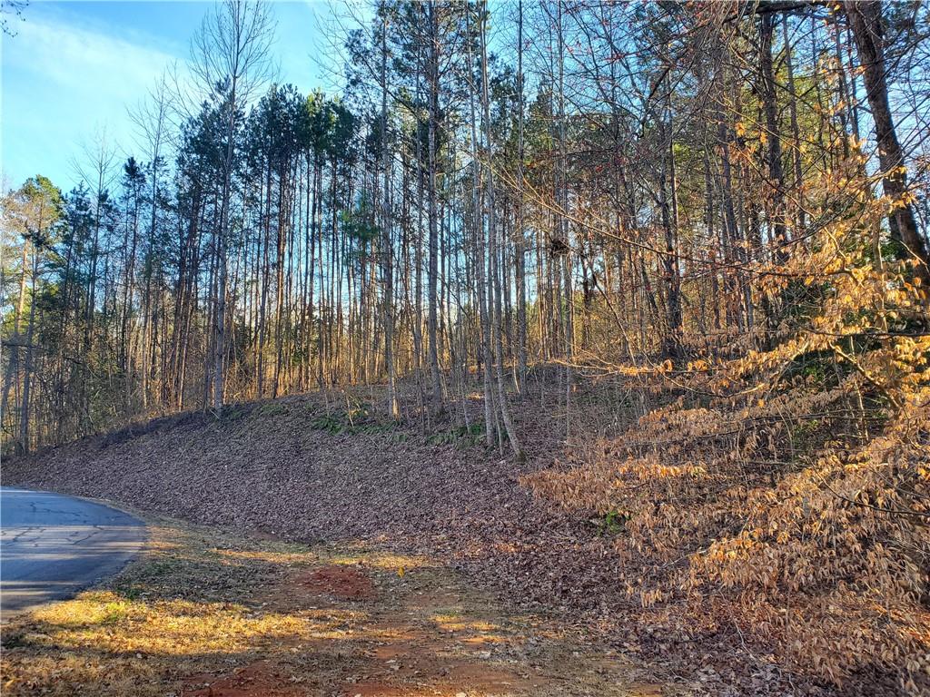 Lot 28 is 1.47 Acres. Lot is fairly flat and on a bluff.