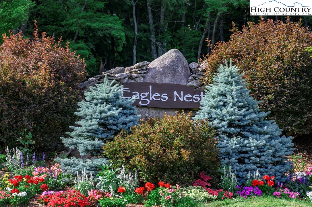 a view of sign board and flowers