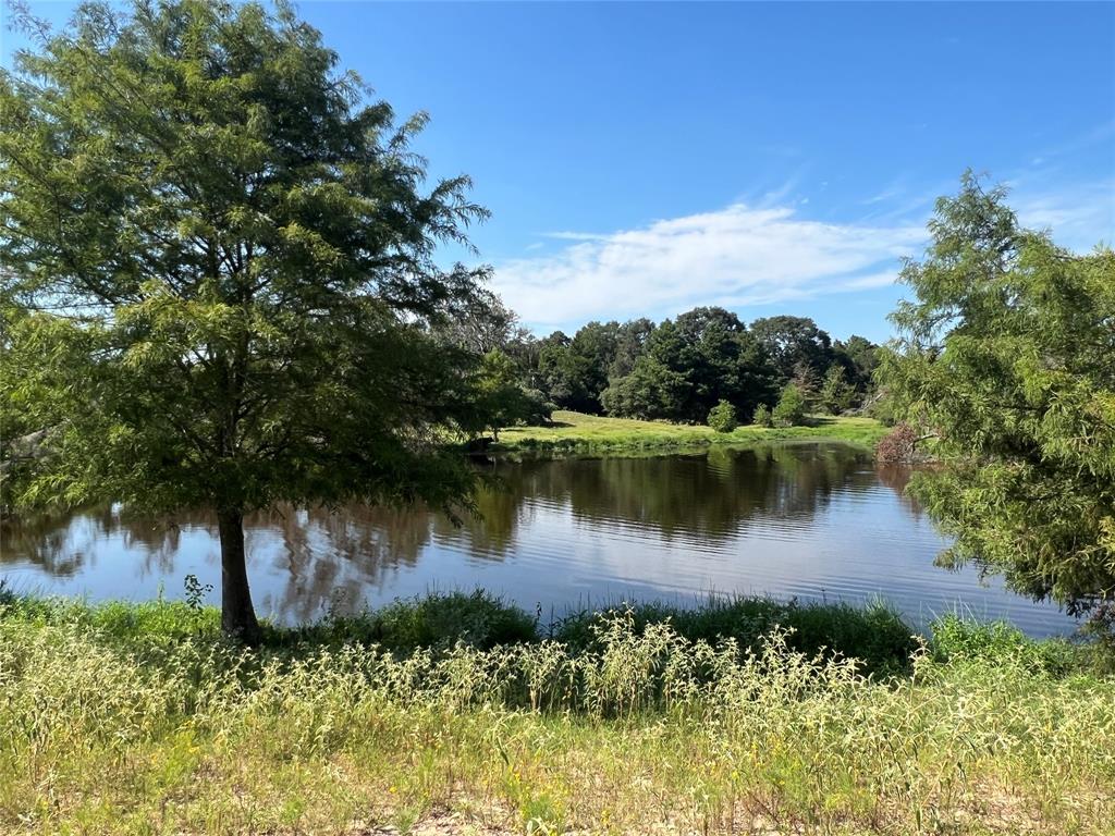 a view of a lake