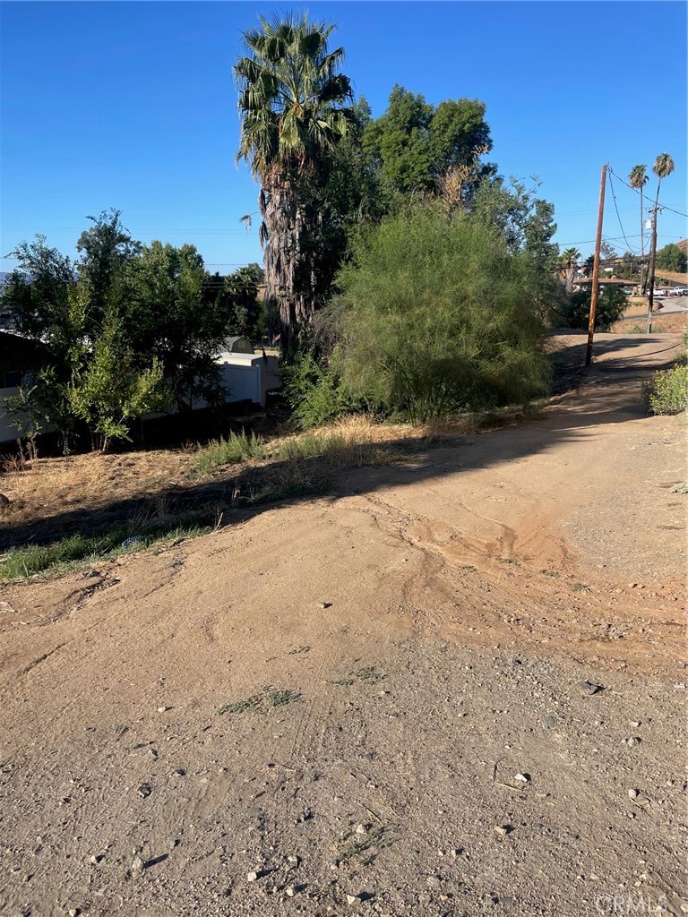 a view of a yard with a tree