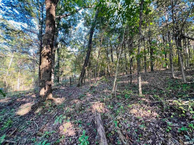 $135,000 | 0 Land Spring Road | Independence Township - Saline County