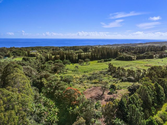 $545,000 | 29-2458 Kaiwiki-Homestead Road | Hakalau