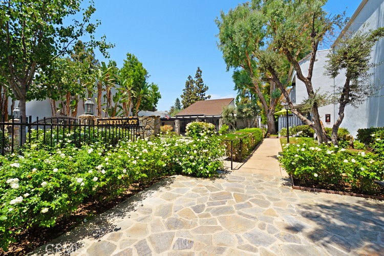 a view of a garden with plants