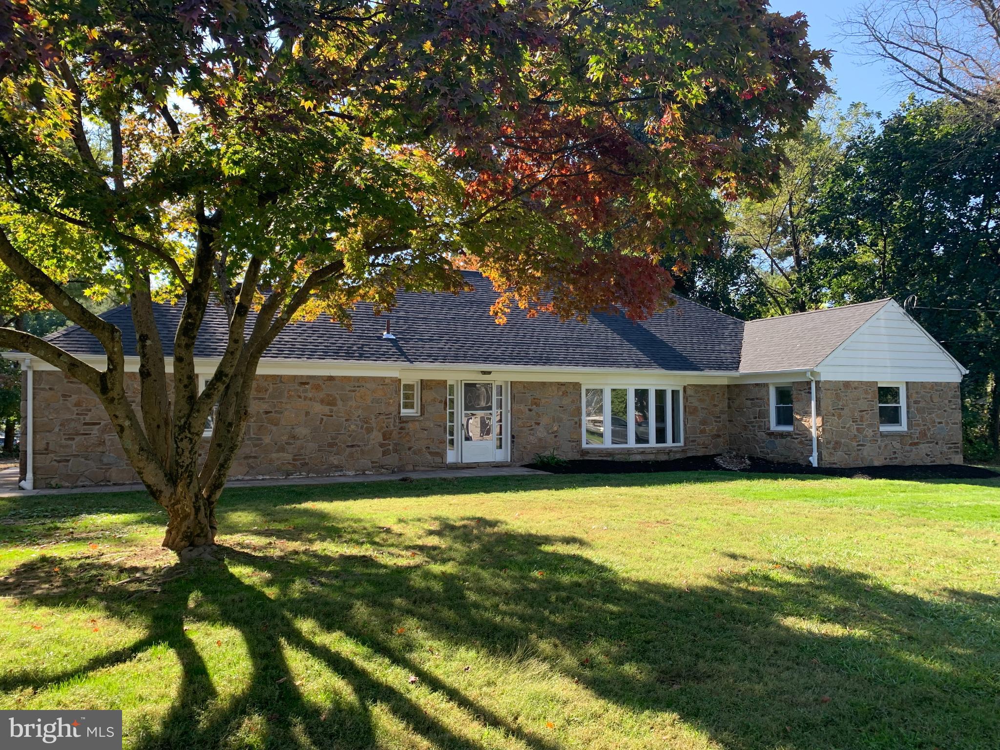 a front view of a house with yard and green space