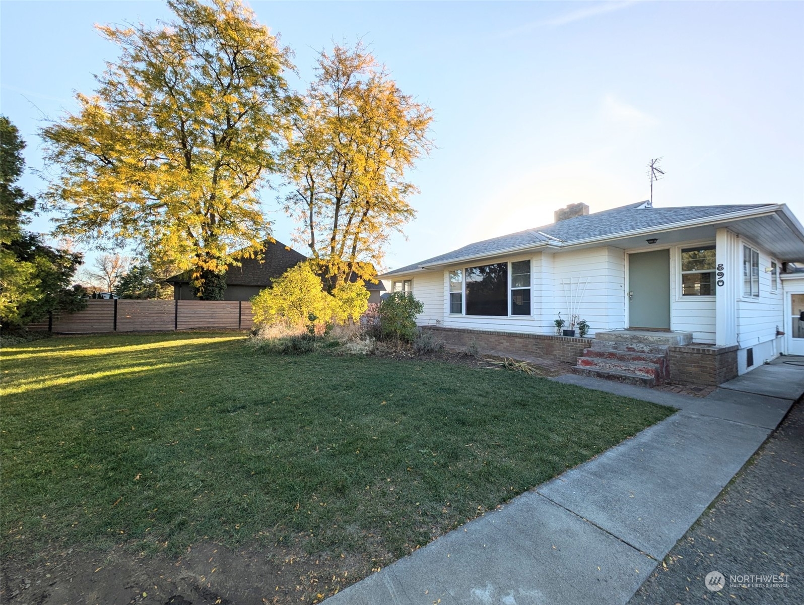 a view of a house with backyard and a tree