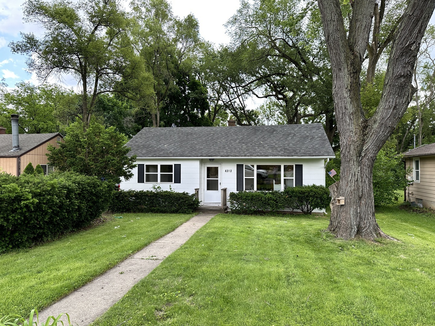 a view of a yard in front of a house with large trees