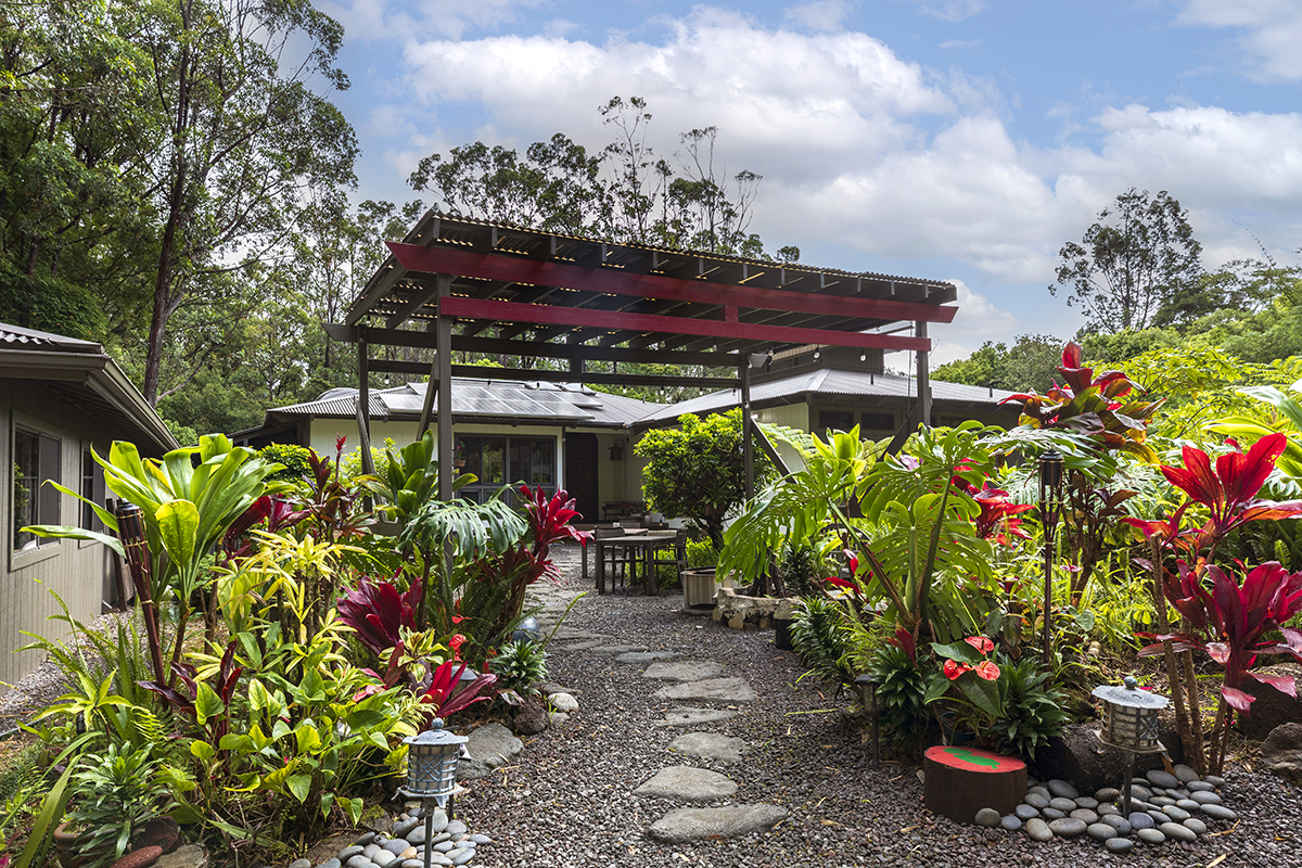 a store filled with lots of different kinds of flowers