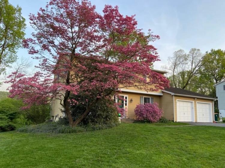 a front view of a house with a garden