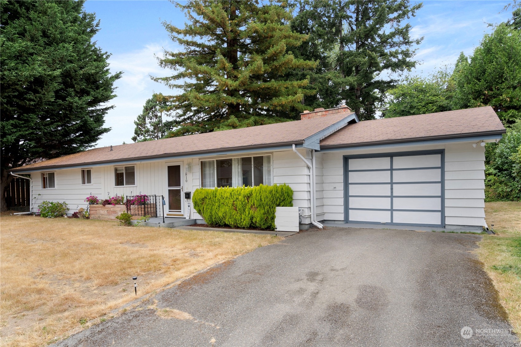 a view of a house with a yard and large tree