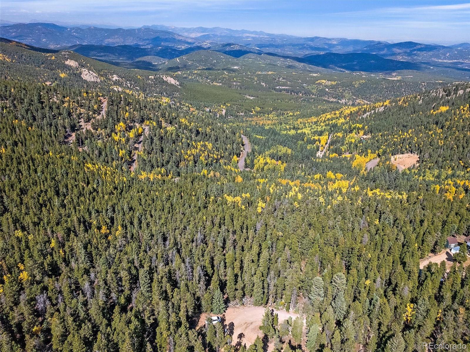 a view of a forest with mountains in the background