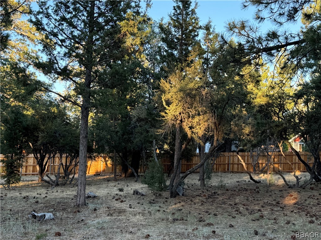 a view of outdoor space with deck and trees