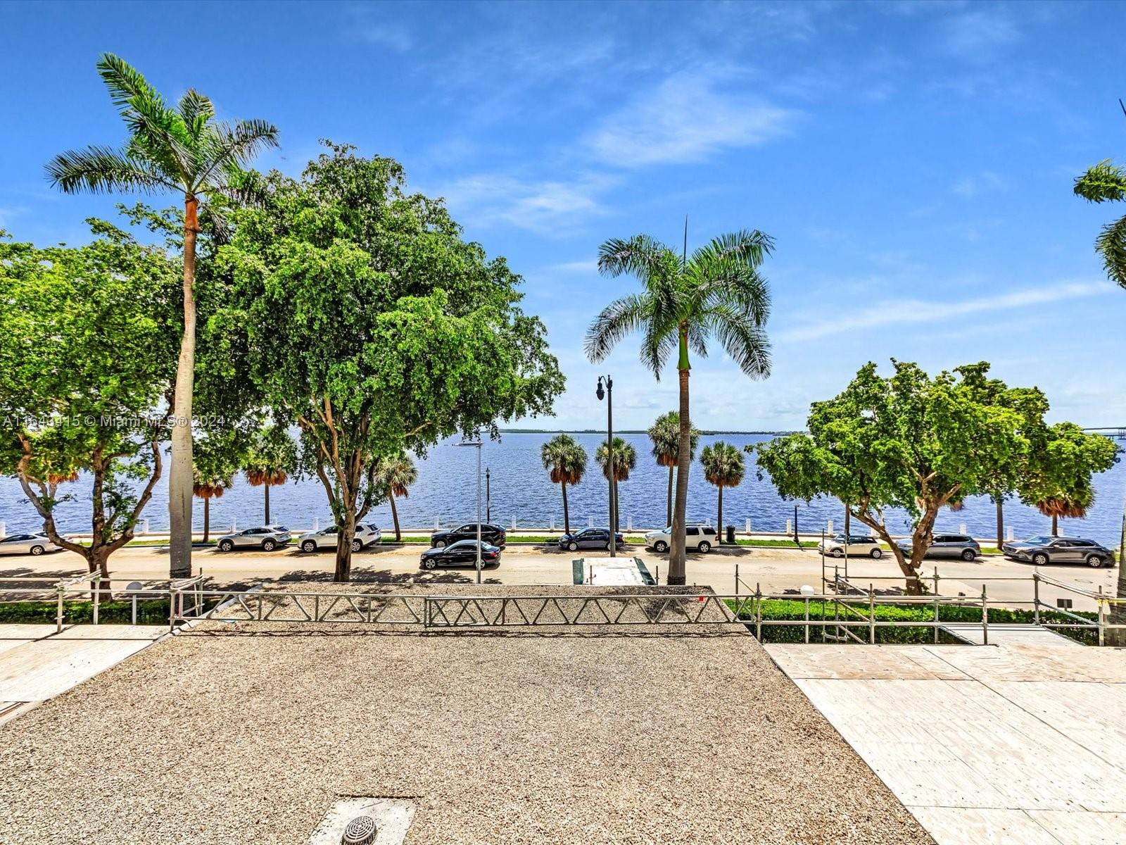 a view of a park with palm trees