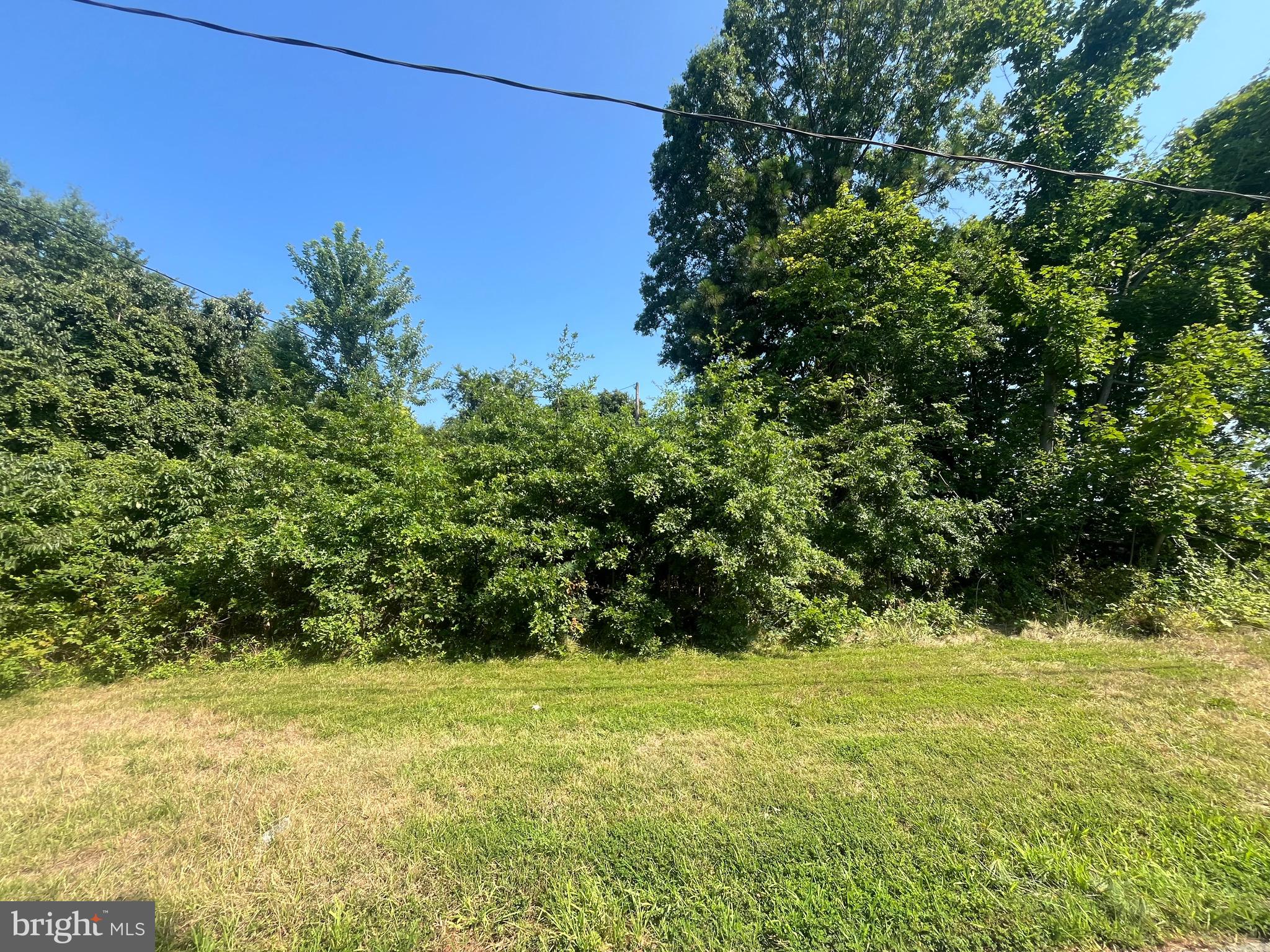 a view of a yard with an tree